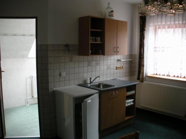 Penzion U Krumlova Srnín 객실 사진